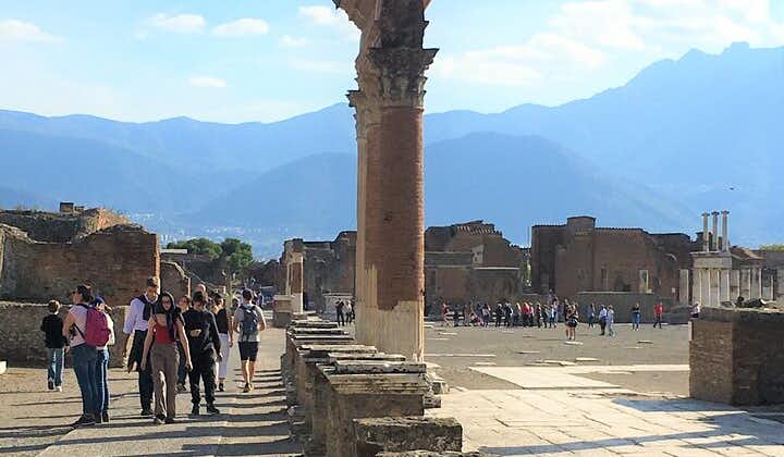 Tour of Pompeii with local expert guide 