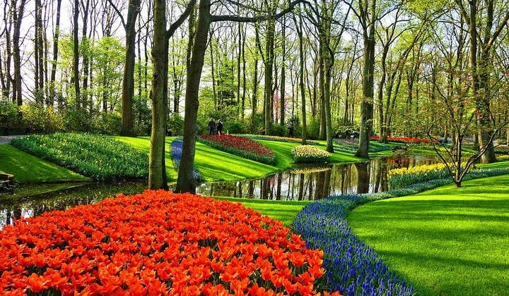 Private Sightseeing tour to Keukenhof Gardens and the Windmills from Amsterdam