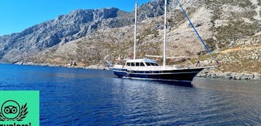 Mykonos Sail Cruise to Delos&Rhenia, BBQ&Drinks, optional Delos Tour & Transfer