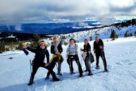 Sneeuwschoenwandelen Leuke tour vanuit Cluj Napoca