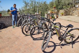 Descubriendo Chianti: tour en bicicleta eléctrica al atardecer y cena