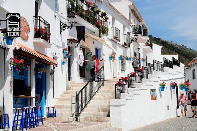 Malaga privata strandutflykt: Malaga Highlights & Mijas White Washed Village