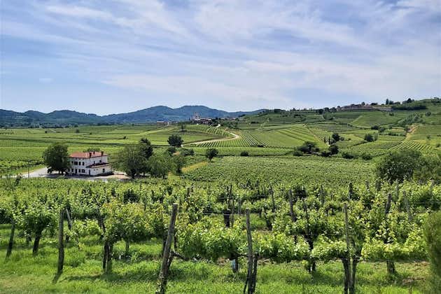 E-bike-ervaring tussen de wijngaarden van Goriška Brda - transfer vanuit Ljubljana