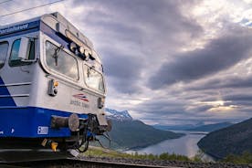 Arctic Train: el ferrocarril más septentrional de Noruega