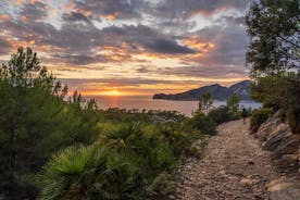 Hiking Tour into the sunset - Port Andratx to Sant Elm 