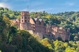 Points forts touristiques de Heidelberg lors d'une visite privée d'une demi-journée avec un local