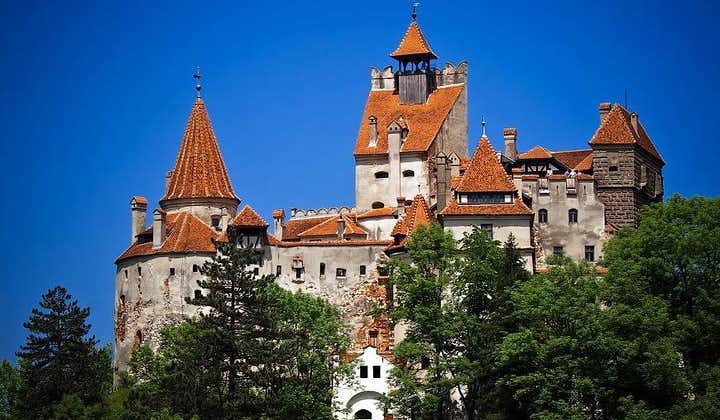 Slott i Transylvania: Privat dagstur fra Bucuresti