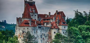 Gita di un giorno al castello di Dracula, al castello di Peles e al medievale Brasov