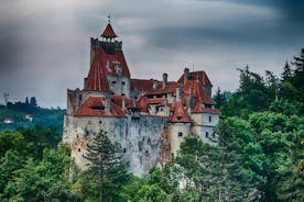 Day trip to Dracula's Castle, Peles Castle and Medieval Brasov
