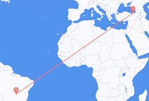 Flyg från Brasília, Brasilien till Trabzon, Turkiet