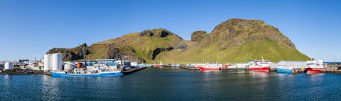 Visitas guiadas e bilhetes na Ilha Heimaey, Islândia