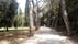 Park forest Zlatni Rt, Grad Rovinj, Istria County, Croatia