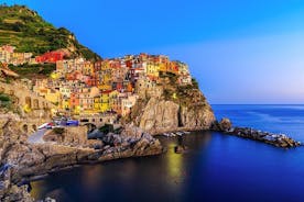 Private Tour Cinque Terre with the leaning tower of Pisa