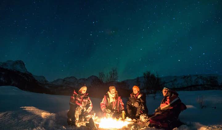 Norway: Small-group Northern Lights Tour from Alta