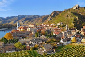 Wachau Valley Vines: A Culinary and Cultural Private Experience