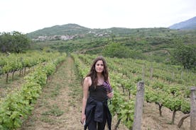 Tour di degustazione di grandi vini di Berat / offerto da Tirana Day Trips