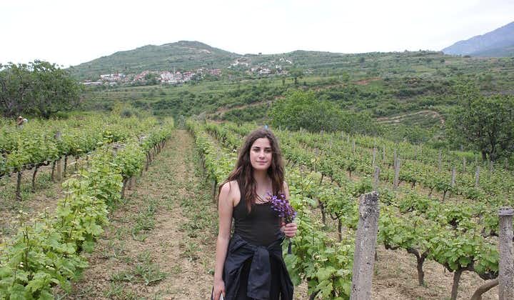 Grand Wine Tasting Tour Of Berat / offered By Tirana Day Trips 