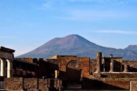 Pompeii Archaeological Site Walking Tour + Tickets with a real Archaeologist