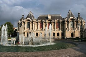 3 Hours Private Custom Tour in Lille with a Local Guide