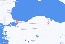 Flüge von Amasja, die Türkei nach Istanbul, die Türkei