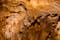 photo of  view of Uhlovitsa cave located in Bulgaria. One of the most beautiful caves.,Uhlovitsa bulgaria.
