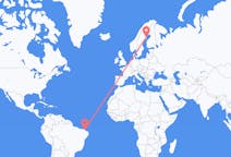 Flyrejser fra Fortaleza, Brasilien til Skellefteå, Sverige