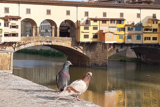 Art et Histoire - Visite à pied de Florence