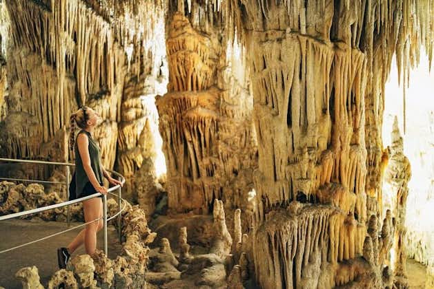 Dagexcursie naar Drach Caves en Portocristo Town