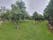 Ringfinnan Garden of Remembrance, Ringfinnan, Kinsale Rural, The Municipal District of Bandon – Kinsale, County Cork, Munster, Ireland