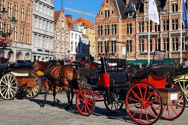 Horse-Drawn Carriage ride and guided walk