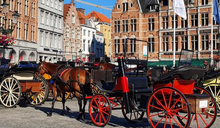 Horse-Drawn Carriage ride and guided walk