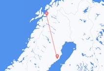 Fly fra Umeå til Narvik