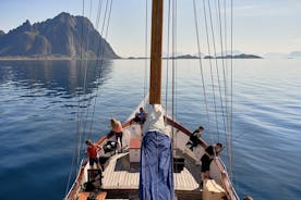 Ganztägige Luxus-Fjordkreuzfahrt und Angeln auf den Lofoten-Inseln mit Mittagessen