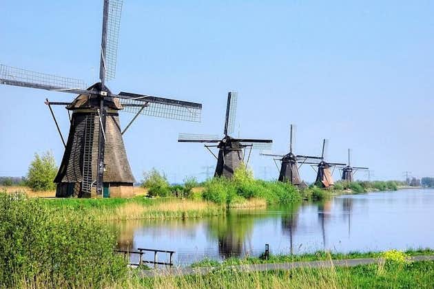 Excursión privada desde Rotterdam a Windmills of Kinderdijk & Gouda Cheese Experience