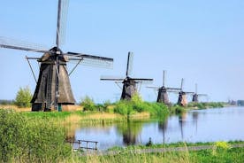 Privat tur fra Rotterdam til Windmills of Kinderdijk & Gouda Cheese Experience
