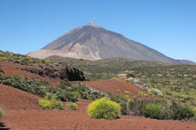 Mt. Teide och Mascadalen Tour på Teneriffa