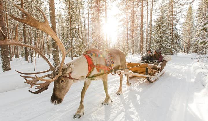 Rentierschlittenfahrt in Lappland und Husky-Safari von Rovaniemi aus
