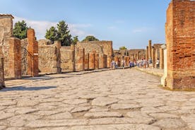 Pompeii-billett med valgfri guidet tur
