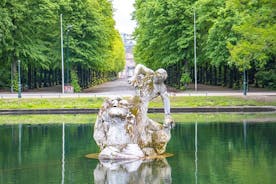 Explore Dusseldorf’s Art and Culture with a Local
