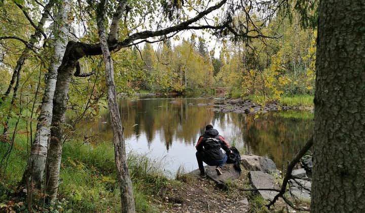 Rovaniemi: Vaattunkiköngäs Nature Trail Hiking Tour