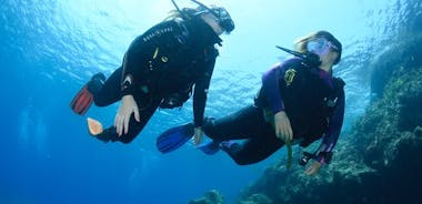 Lanzarote Introductory Scuba Diving Experience