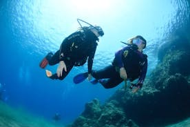 Lanzarote Indledende Scuba Diving Experience