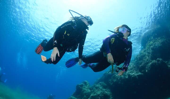 兰萨罗特岛水肺潜水体验入门