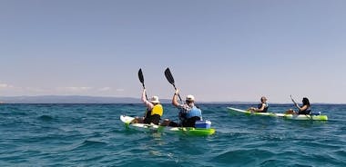 Guided half-day kayak tour