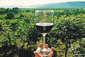 Tikvesh Wine region
