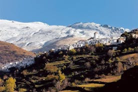 Las Alpujarras Día Completo con Opción de Comida desde Granada 
