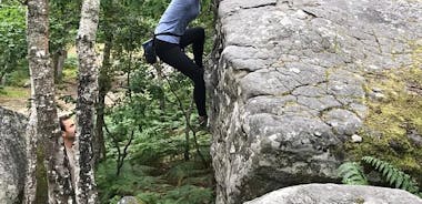 Halve dag boulderen in Fontainebleau