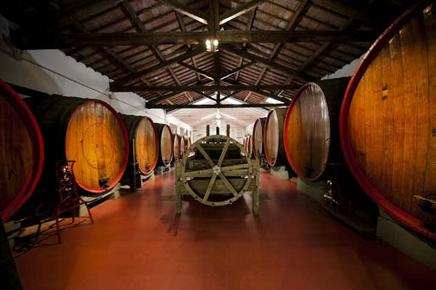 Lambrusco vinprovning och besök i källaren i Modena