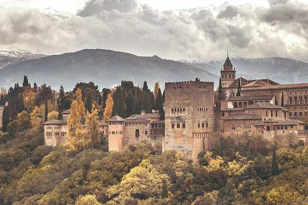 Tour guidato dell'Alhambra da Malaga con trasporto privato