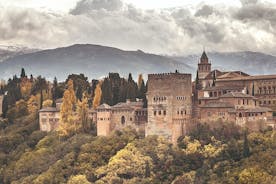 Alhambra Guided Tour from Malaga with Private Transportation